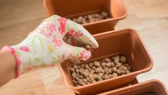 Celá léta jste keramzit používali nesprávně: k čemu vlastně slouží